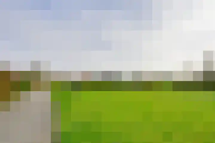 Buitenplaats Herkingen 3 b Herkingen thumbnail 31