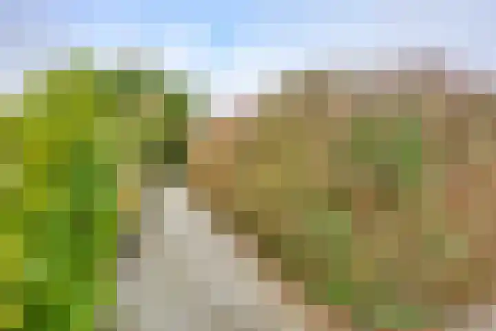 Buitenplaats Herkingen 3 b Herkingen thumbnail 7