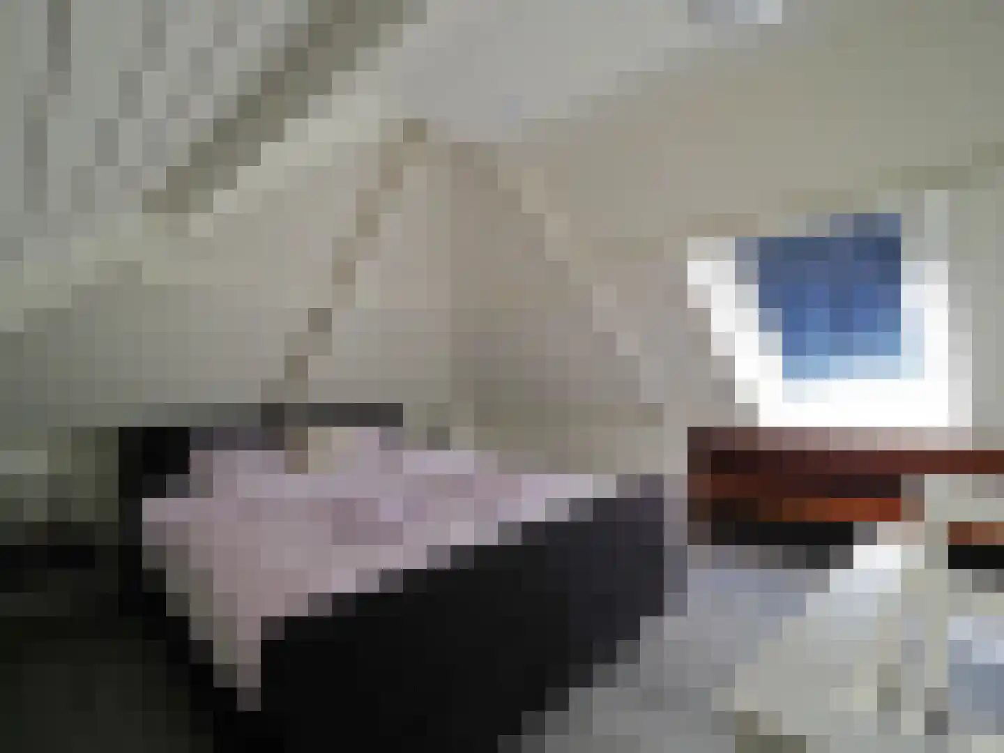 Buitenplaats Herkingen 33 a Herkingen thumbnail 15