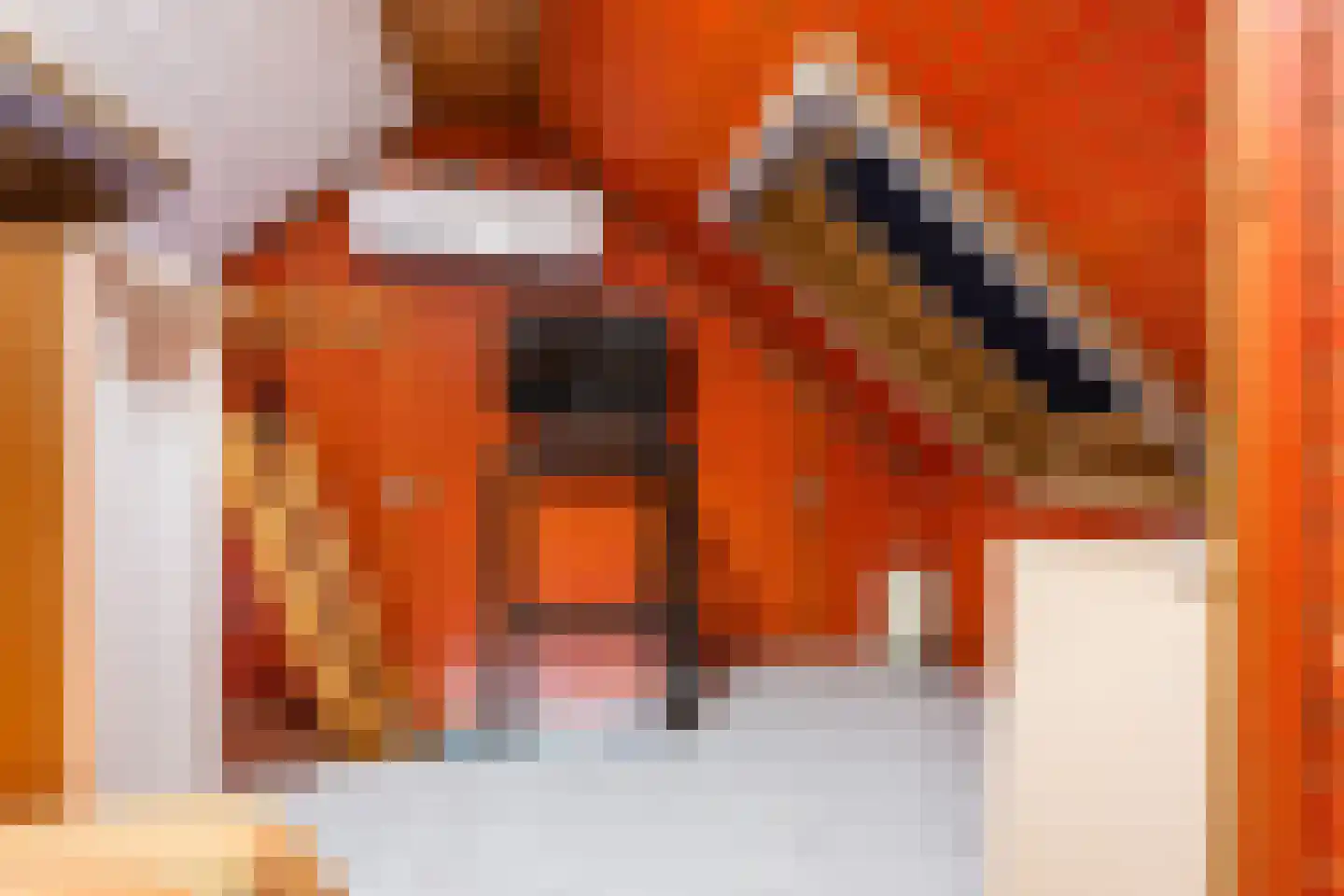 Buitenplaats Herkingen 38 d Herkingen thumbnail 19
