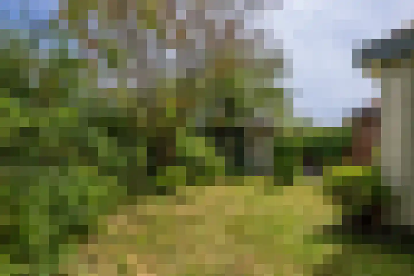 Buitenplaats Herkingen 38 d Herkingen thumbnail 21