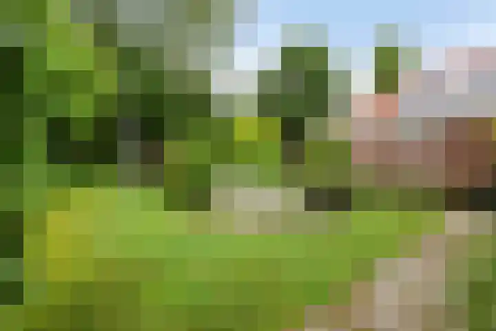 Buitenplaats Herkingen 8 b Herkingen thumbnail 20