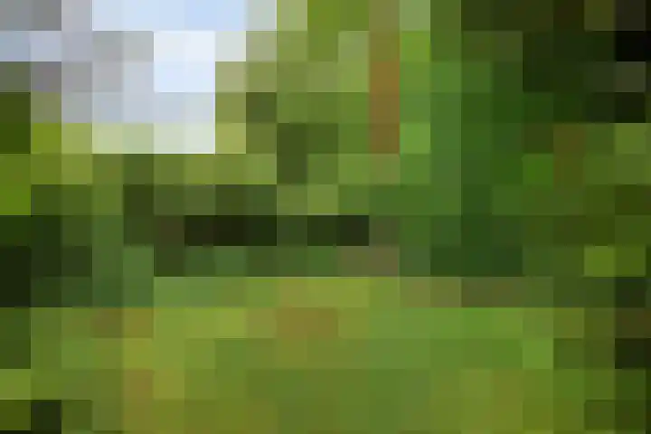Buitenplaats Herkingen 8 b Herkingen thumbnail 23