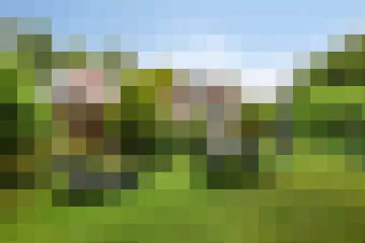 Buitenplaats Herkingen 8 b Herkingen thumbnail 5