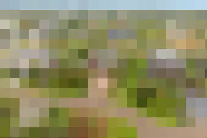 Buitenplaats Oosterwold 111 Almere thumbnail 38