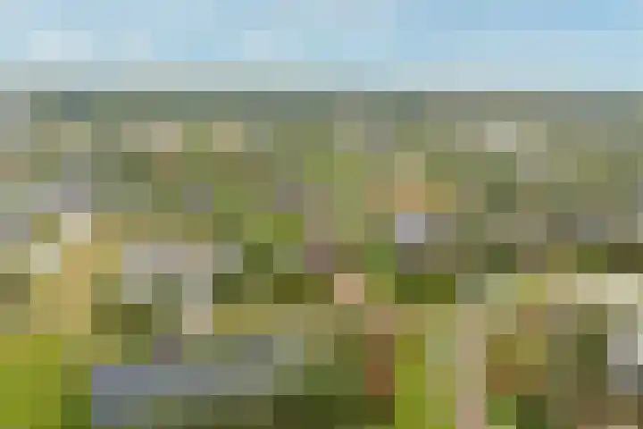 Buitenplaats Oosterwold 111 Almere thumbnail 39
