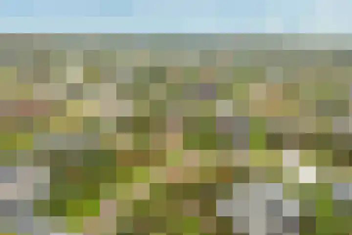 Buitenplaats Oosterwold 111 Almere thumbnail 40
