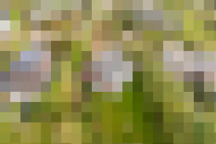 Buitenplaats Oosterwold 111 Almere thumbnail 41