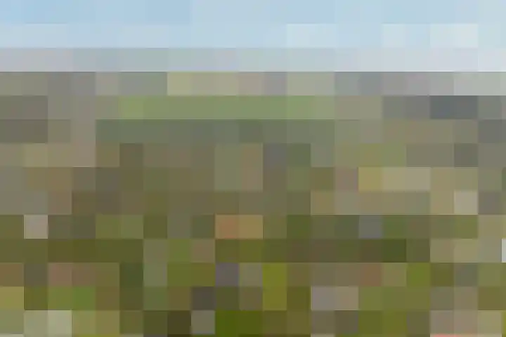 Buitenplaats Oosterwold 111 Almere thumbnail 43