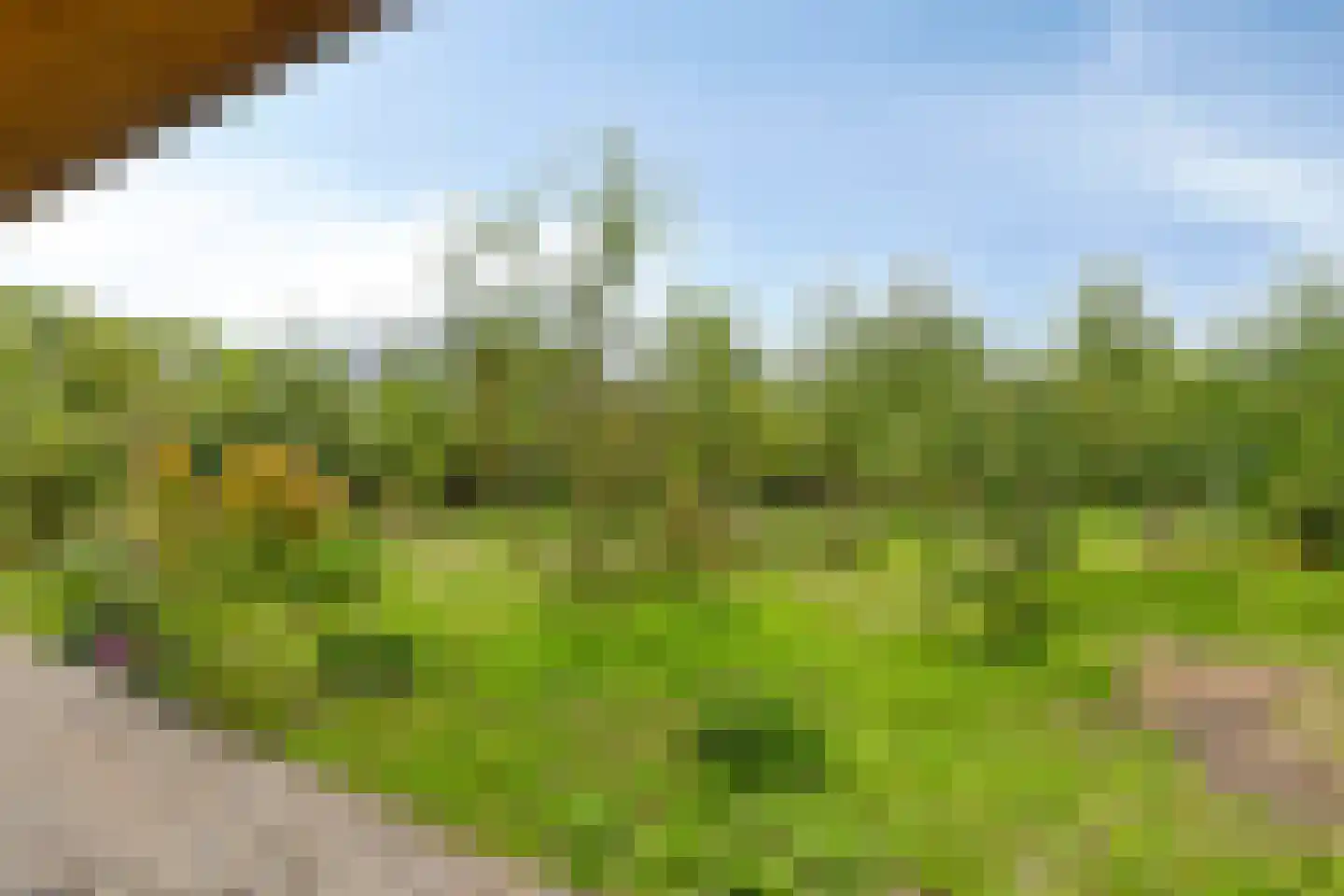 Buitenplaats Oosterwold 73 Almere thumbnail 29