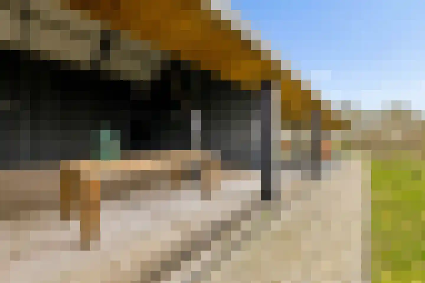 Buitenplaats Oosterwold 73 Almere thumbnail 45