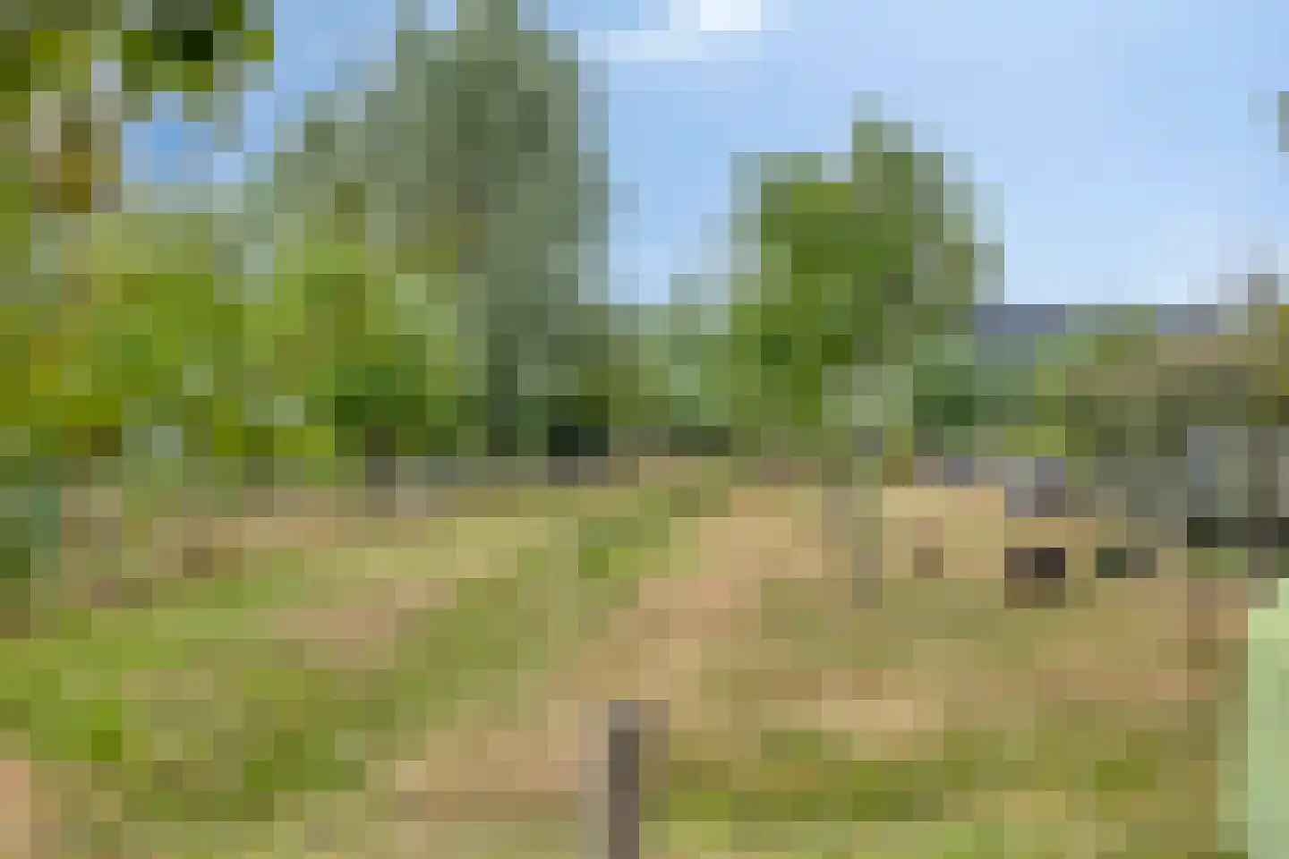 Buitenplaats Oosterwold 73 Almere thumbnail 47
