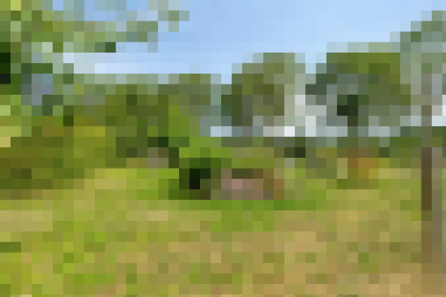 Buitenplaats Oosterwold 73 Almere thumbnail 6