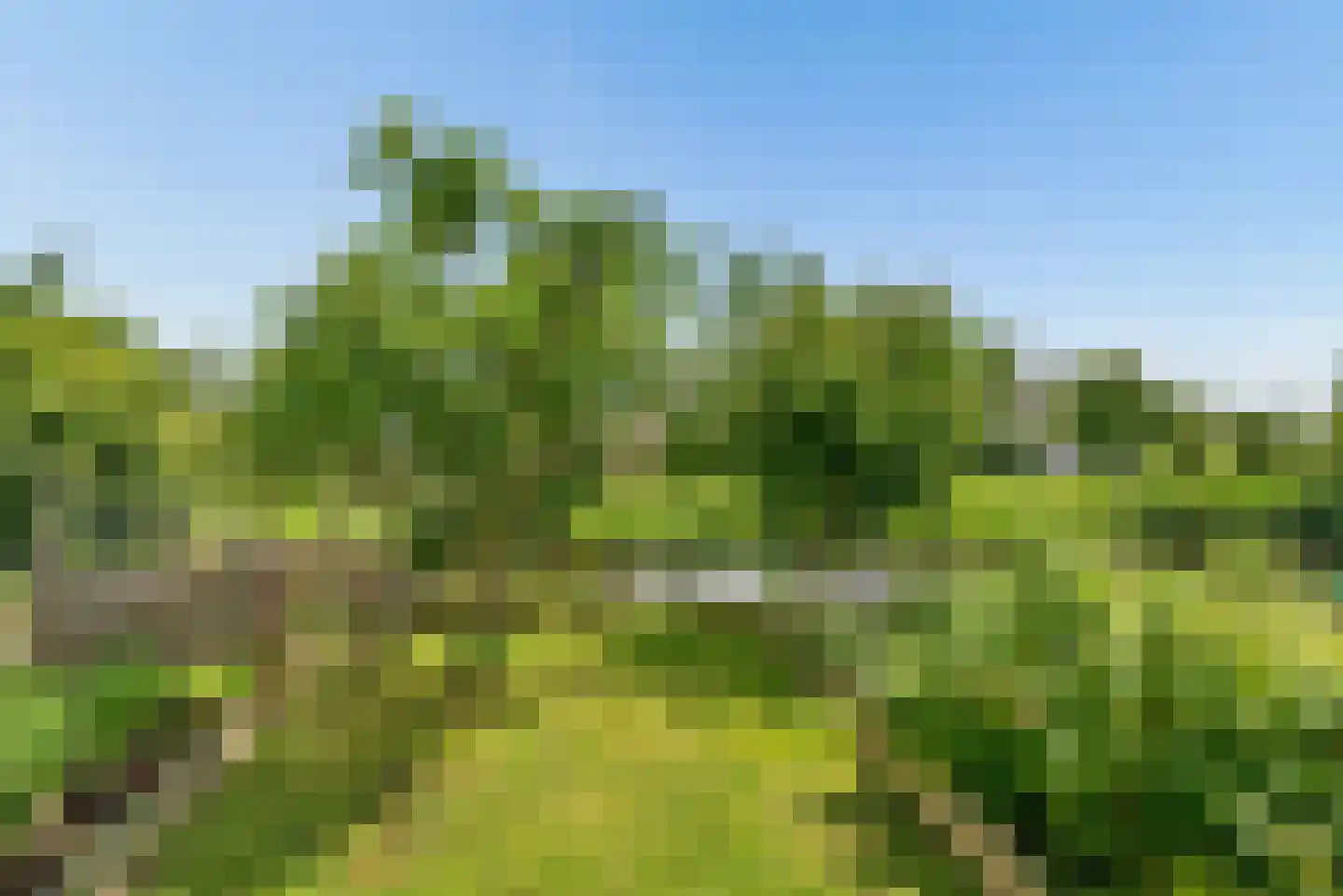 Buitenplaats Oosterwold 78 Almere thumbnail 60