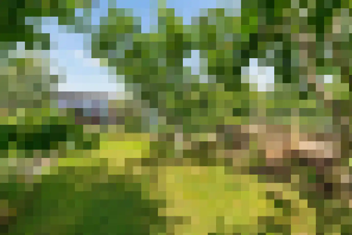 Buitenplaats Oosterwold 78 Almere thumbnail 74