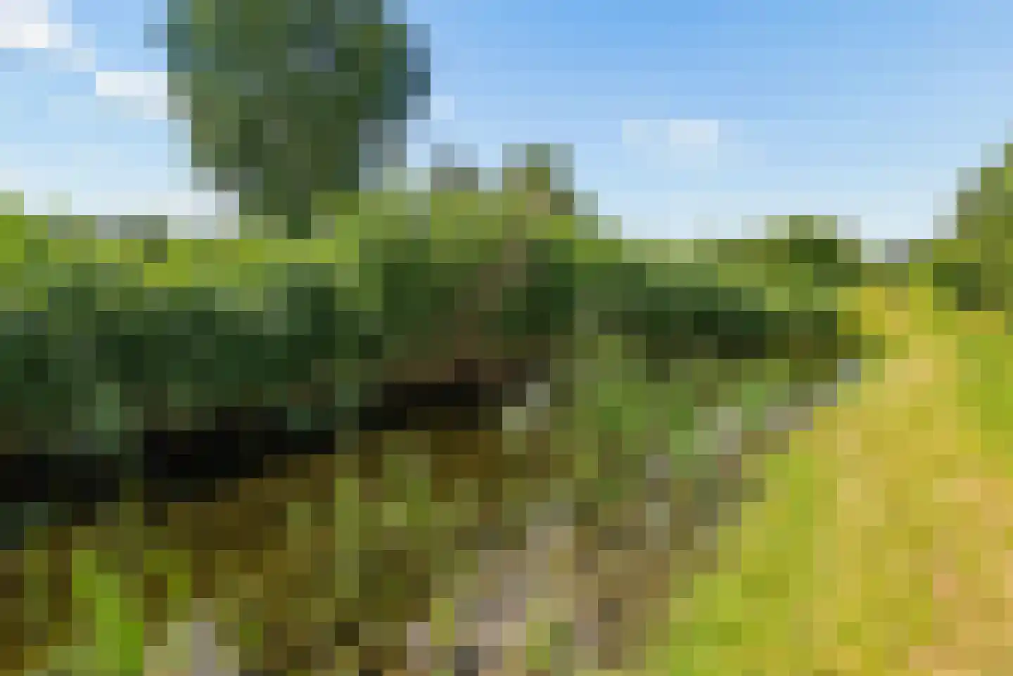 Buitenplaats Oosterwold 78 Almere thumbnail 84