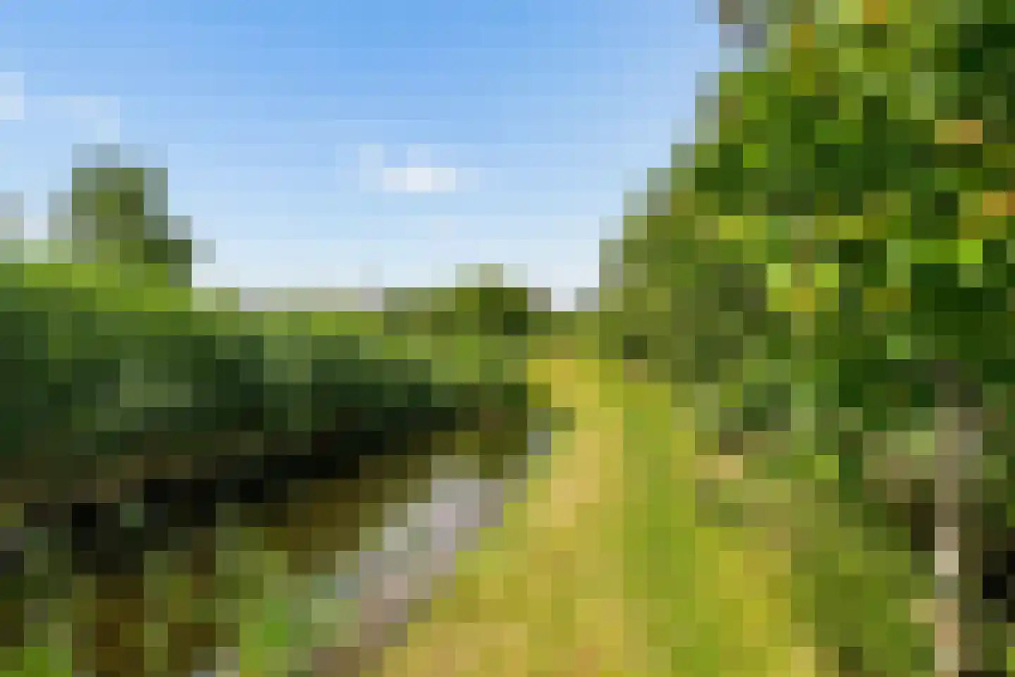 Buitenplaats Oosterwold 78 Almere thumbnail 85