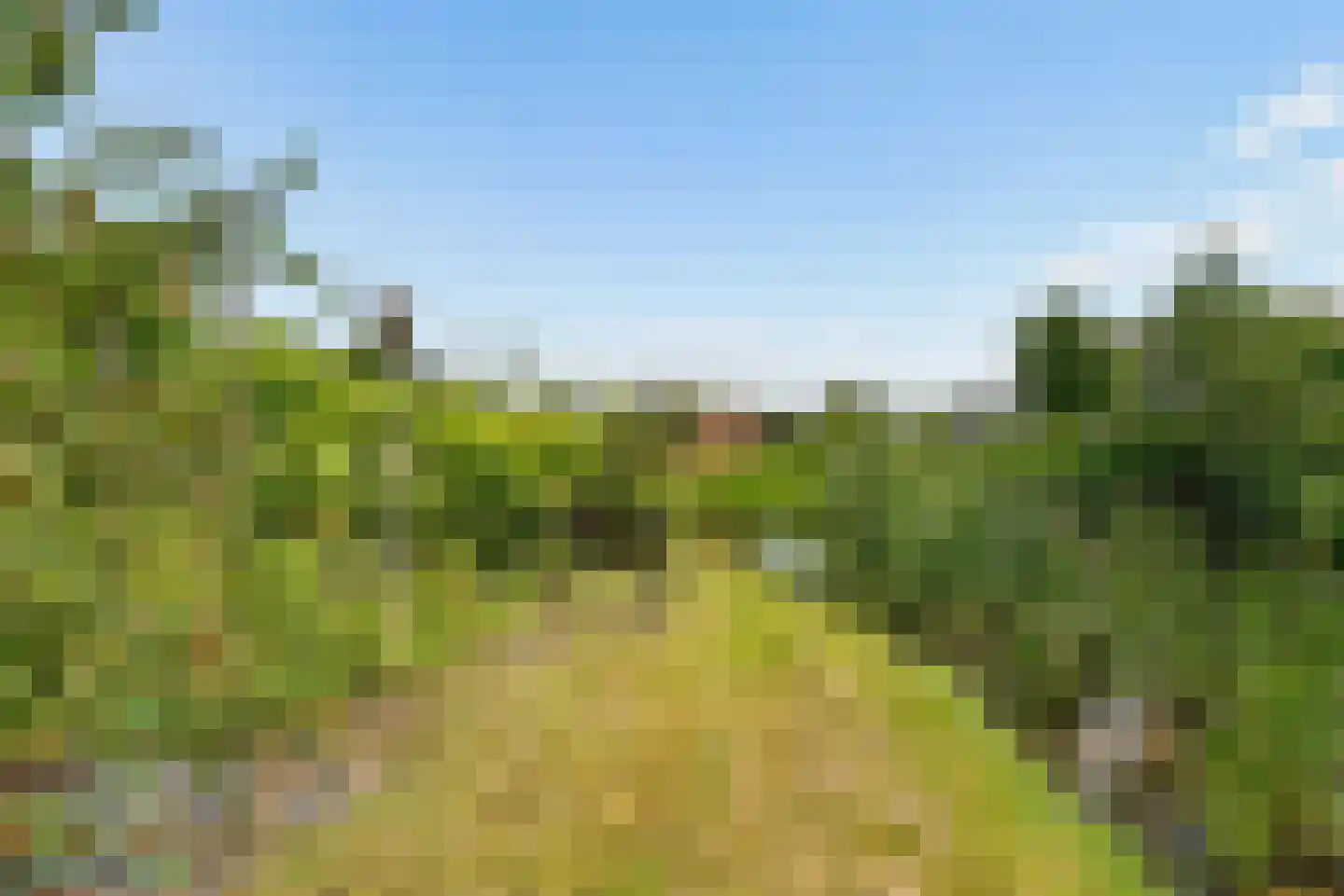 Buitenplaats Oosterwold 78 Almere thumbnail 86