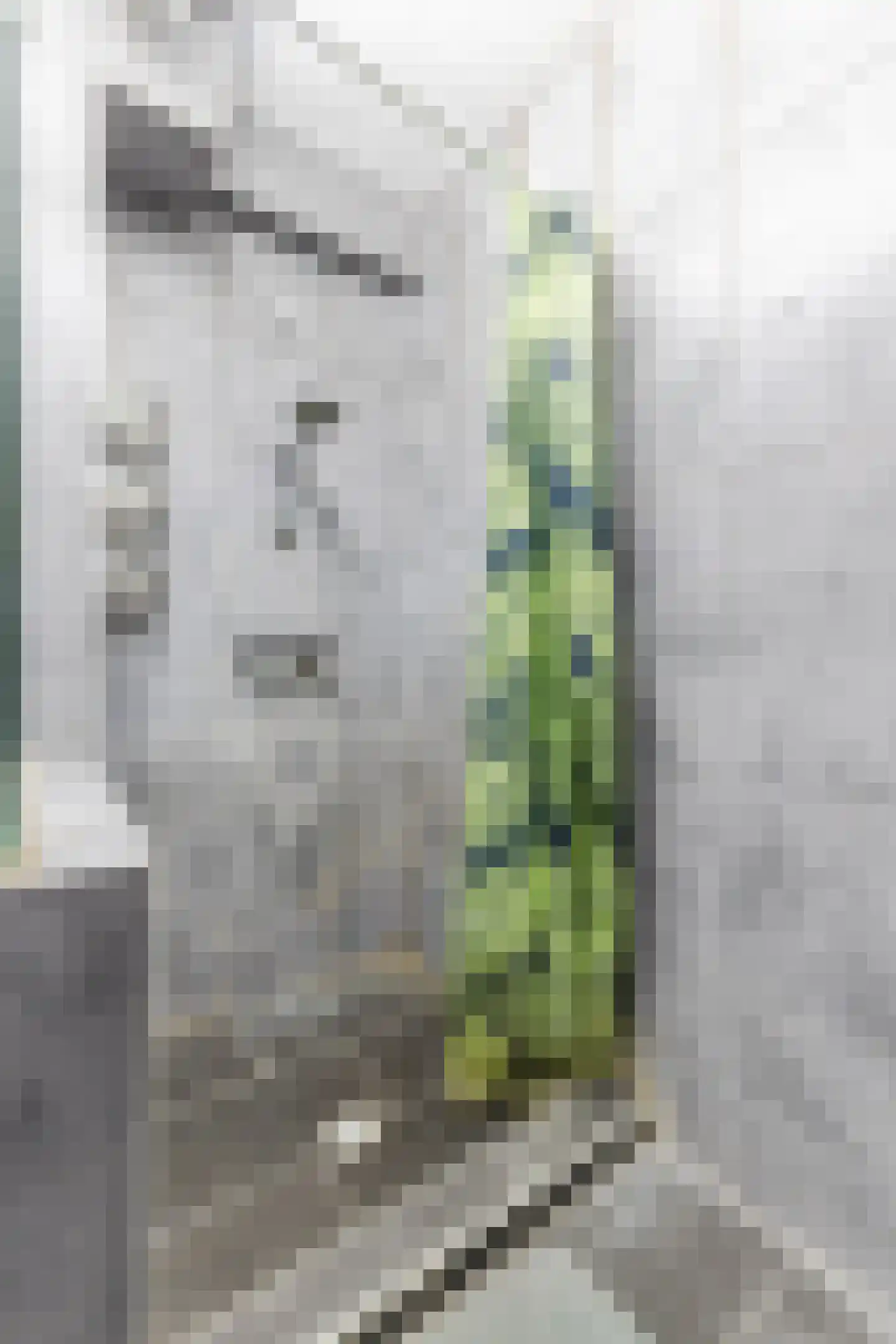 Buitenplein 10 Amstelveen thumbnail 26