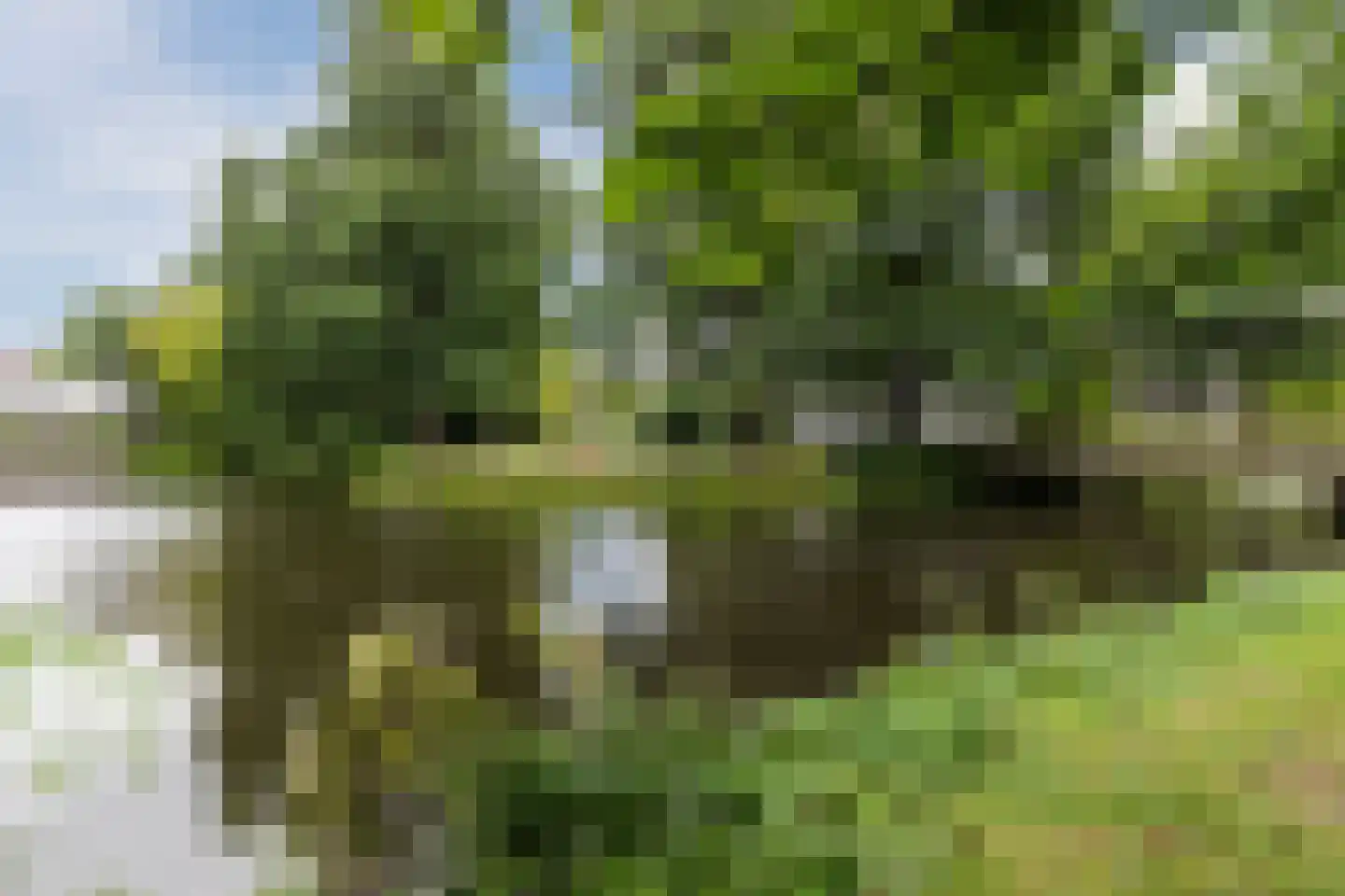 Buitenplein 10 Amstelveen thumbnail 33