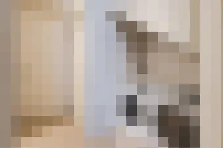 Buitenpoort 14 Alkmaar thumbnail 11