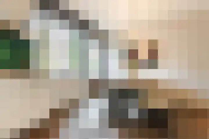 Buitenpoort 14 Alkmaar thumbnail 19