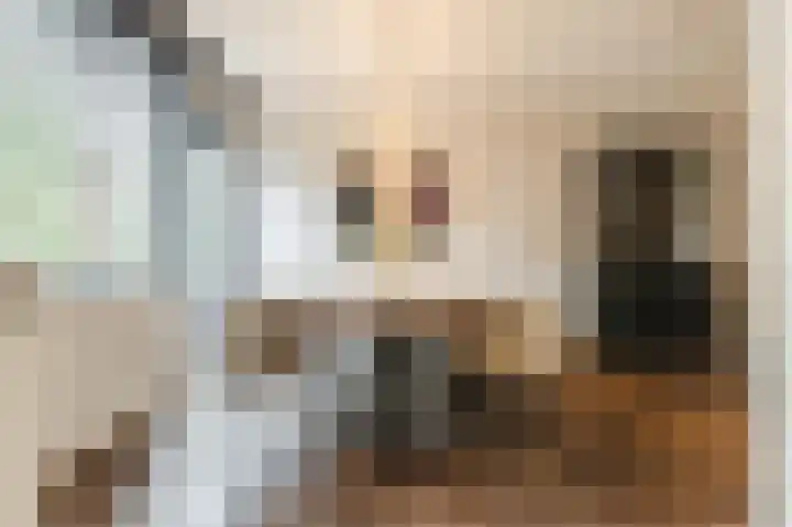 Buitenpoort 14 Alkmaar thumbnail 20