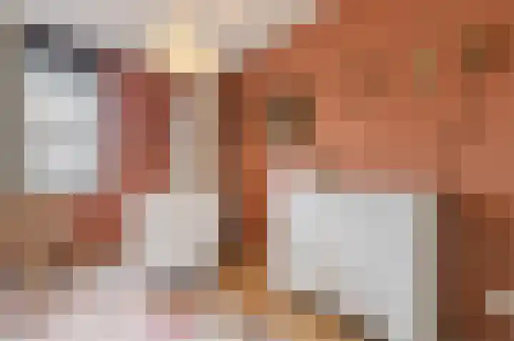 Buitenpoort 14 Alkmaar thumbnail 32
