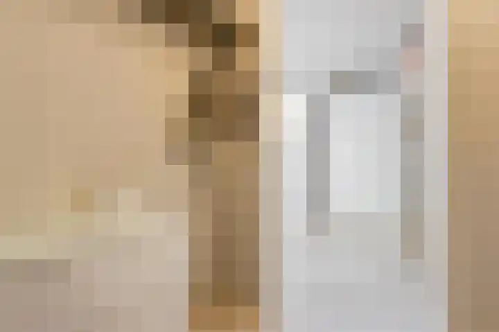 Buitenpoort 14 Alkmaar thumbnail 5