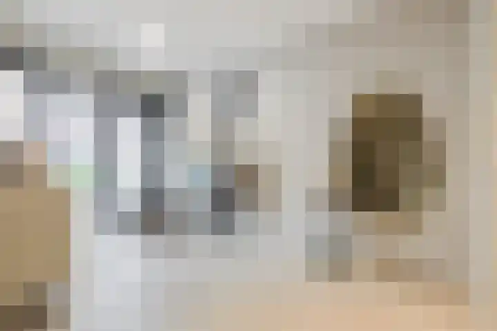 Buitenpoort 14 Alkmaar thumbnail 6