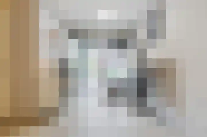 Buitenpoort 14 Alkmaar thumbnail 7
