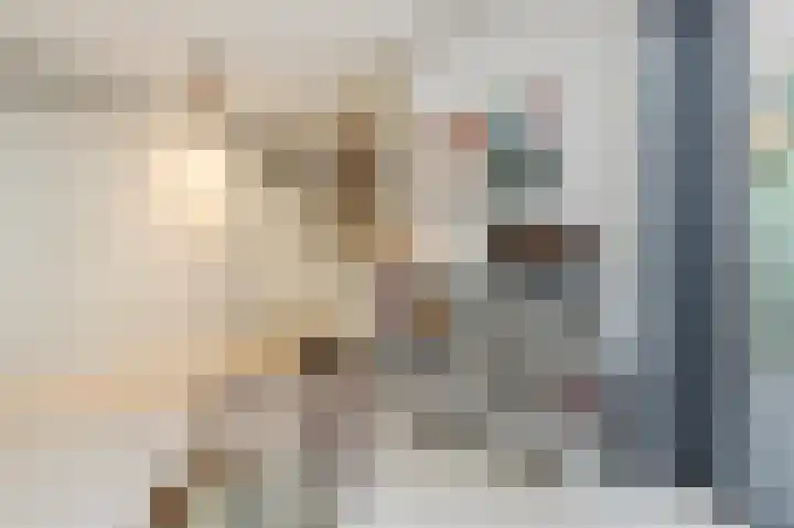Buitenpoort 14 Alkmaar thumbnail 9