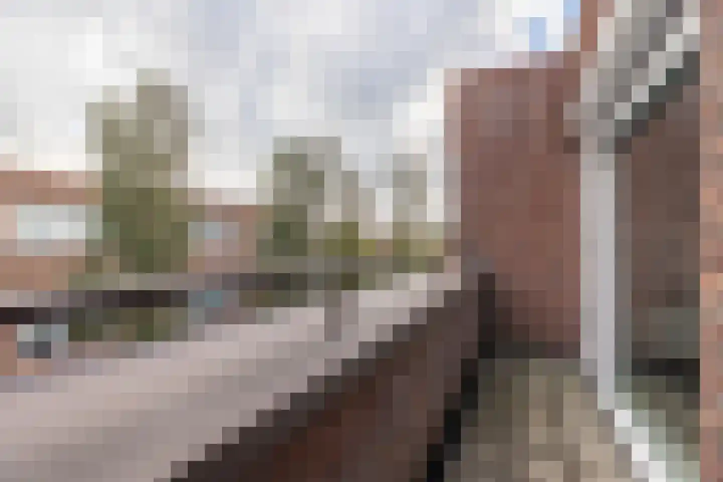 Buitenpoort 16 Alkmaar thumbnail 25