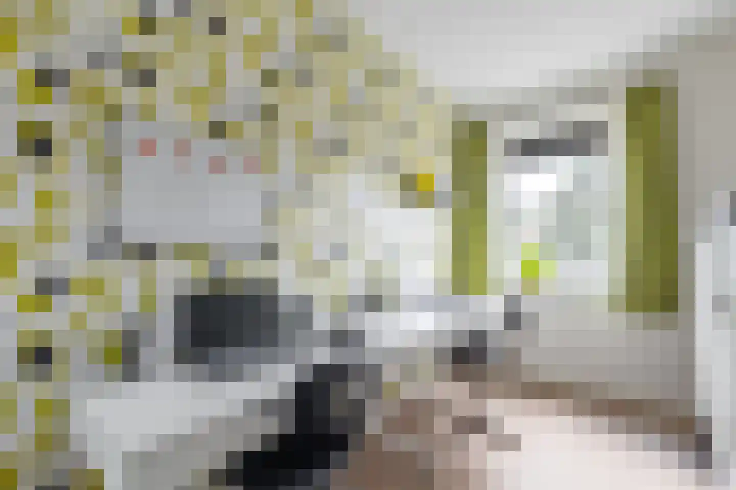 Buitenpoort 16 Alkmaar thumbnail 33