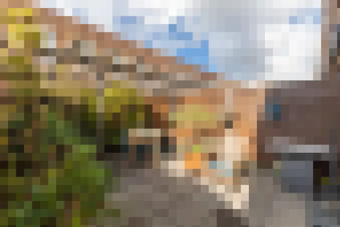Buitenpoort 16 Alkmaar thumbnail 42
