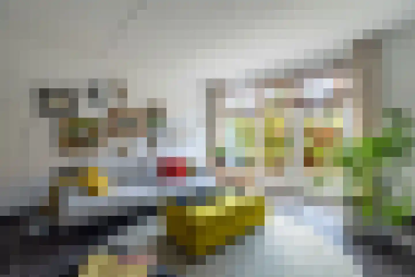 Buitenpoort 16 Alkmaar thumbnail 6