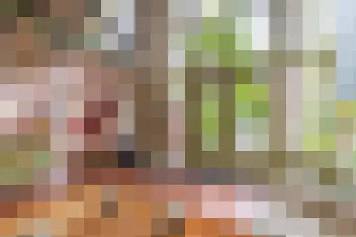 Buitenpostlaan 9 Arnhem thumbnail 4