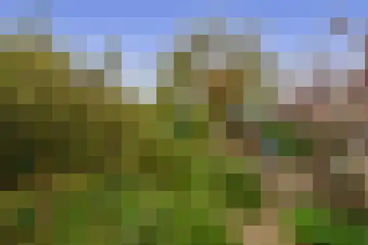 Buitenpostlaan 9 Arnhem thumbnail 58