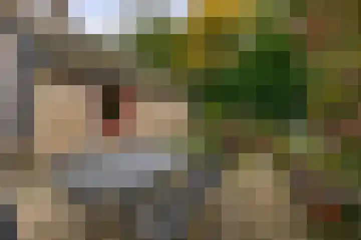 Buitenpostlaan 9 Arnhem thumbnail 62