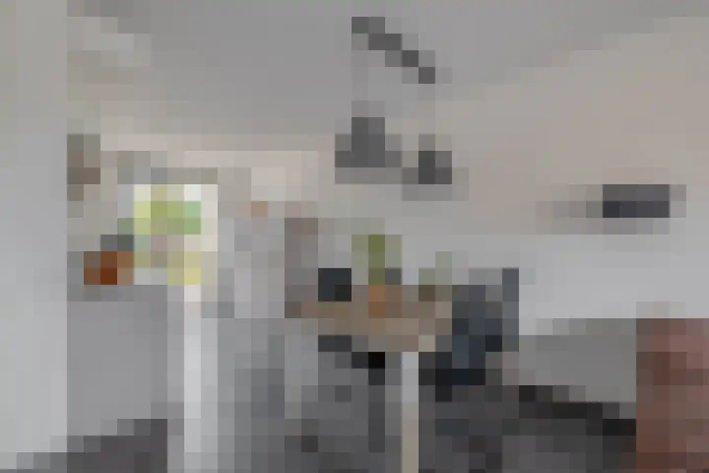 Buitenring 10 Middelharnis thumbnail 11
