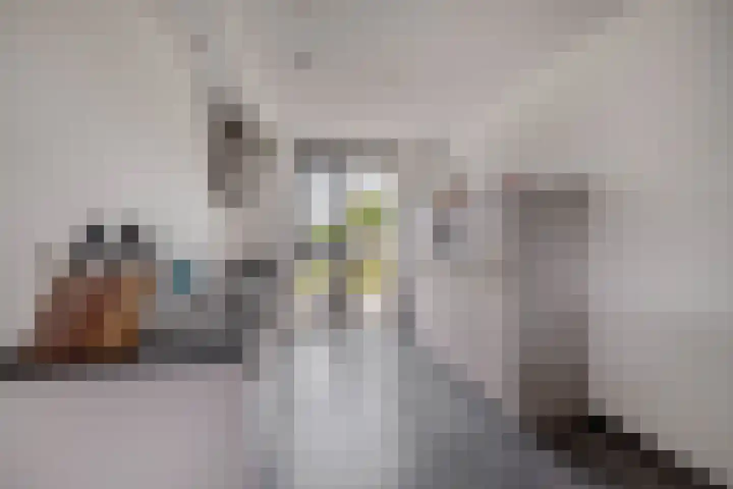 Buitenring 10 Middelharnis thumbnail 12