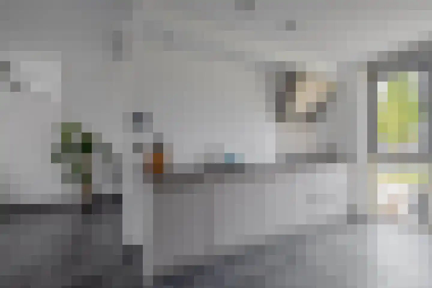 Buitenring 10 Middelharnis thumbnail 13