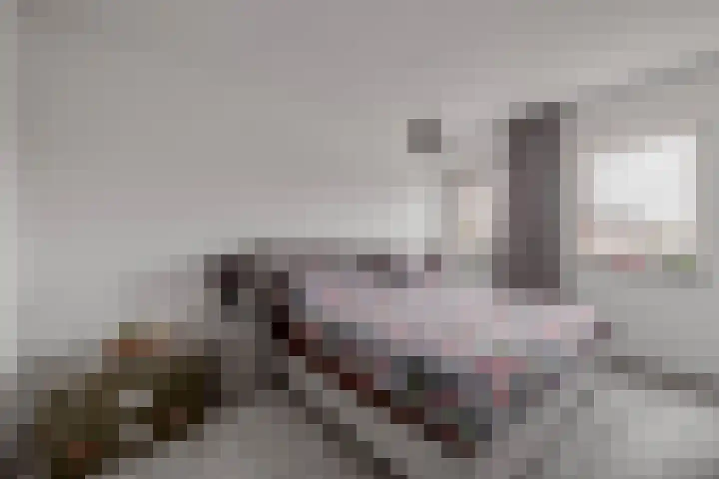 Buitenring 10 Middelharnis thumbnail 17