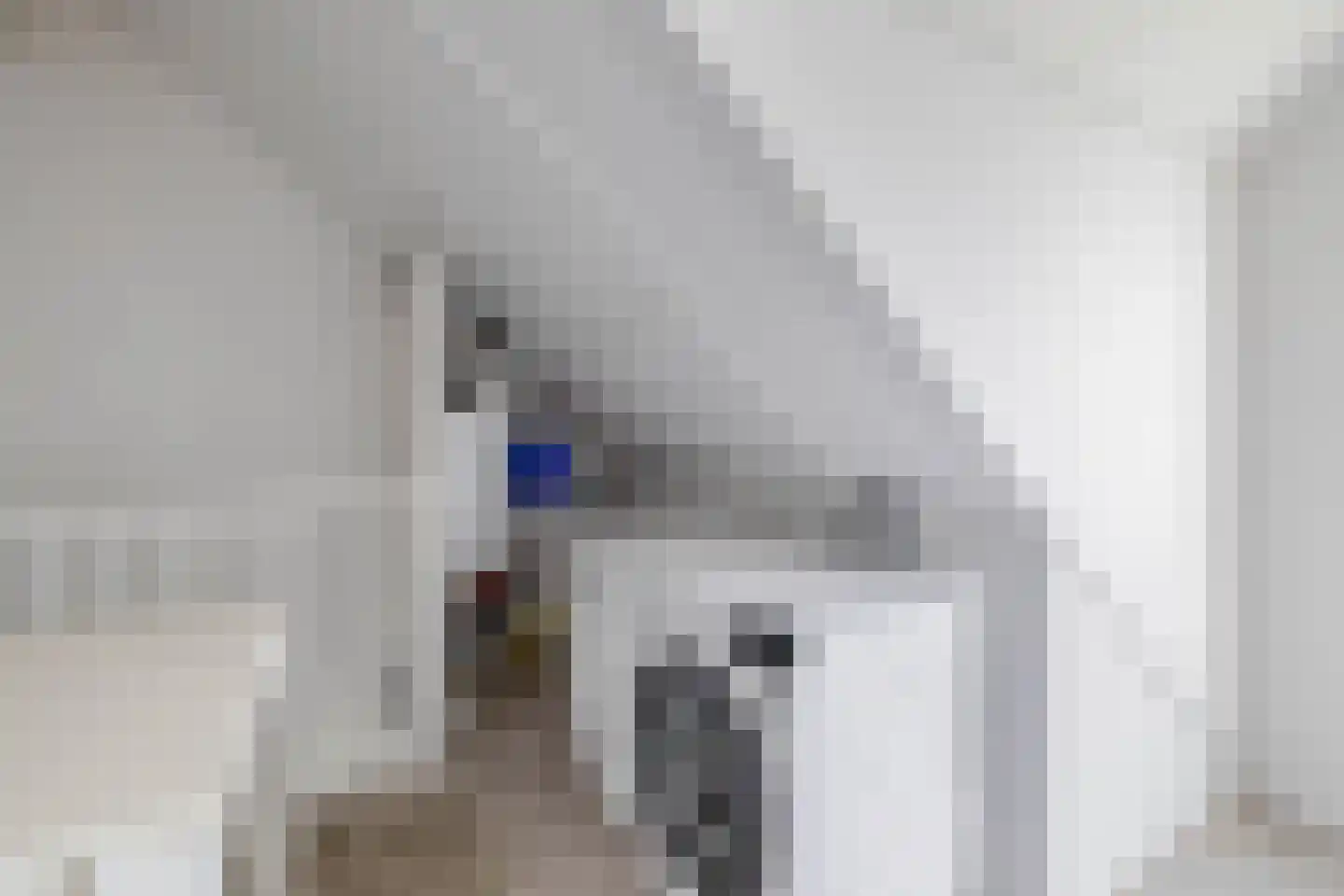 Buitenring 10 Middelharnis thumbnail 28
