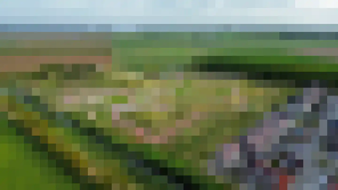 Buitenring 10 Middelharnis thumbnail 38