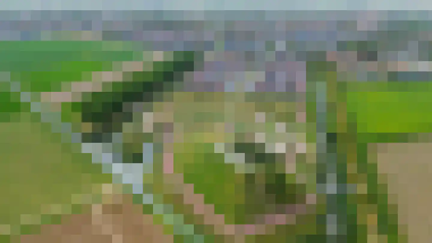 Buitenring 10 Middelharnis thumbnail 39