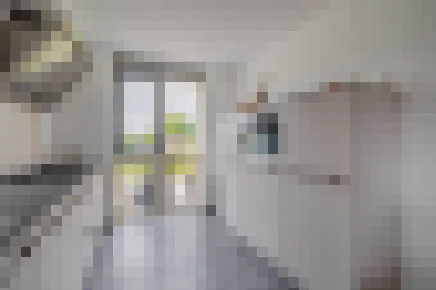 Buitenring 10 Middelharnis thumbnail 4