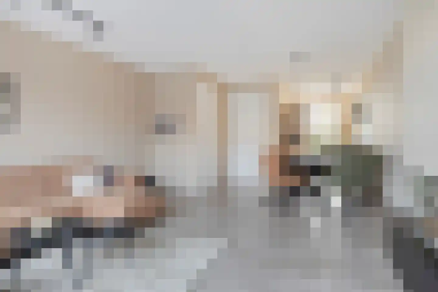 Buitenring 25 Middelharnis thumbnail 11