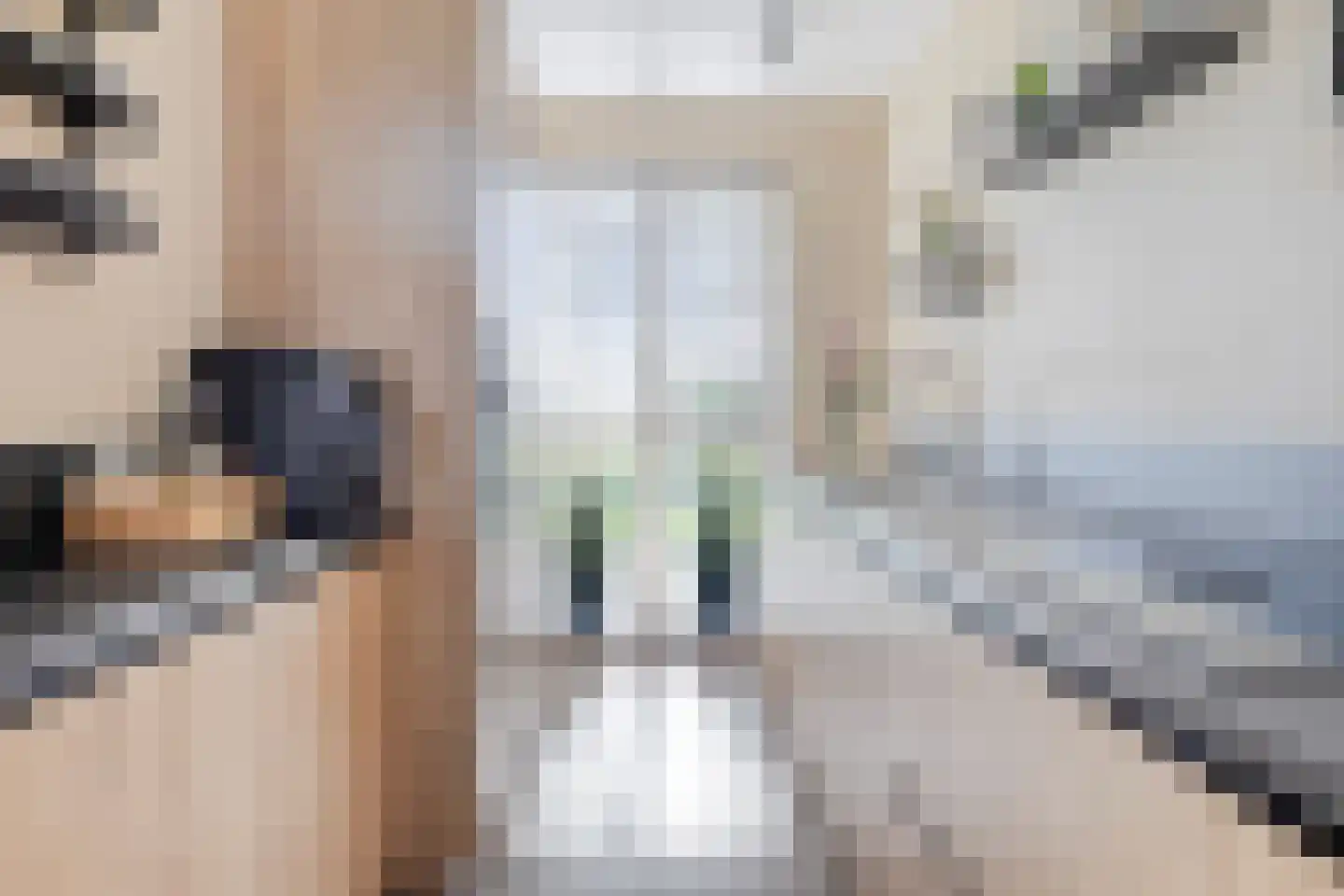 Buitenring 25 Middelharnis thumbnail 16