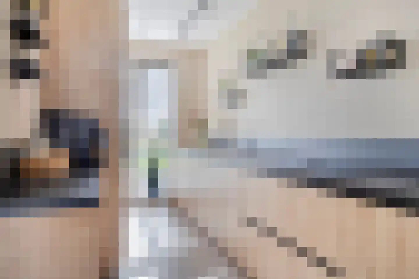 Buitenring 25 Middelharnis thumbnail 17